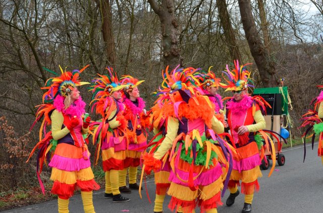 umzug simmern_140301_vb_039